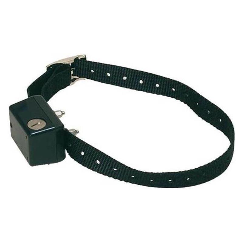 Electronic Dog Training Collar, Electronic, Wiring Diagram ...