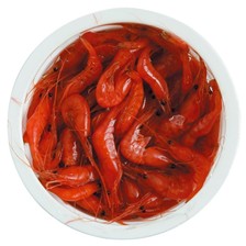 APPAT ASTUCIT CREVETTES ROUGES
