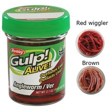 APPAT BERKLEY GULP ALIVE ANGLE WORM 5CM - POT DE 60