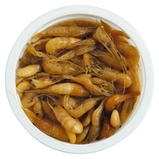 APPAT MORT VIVANT ASTUCIT CREVETTES NATURELLES