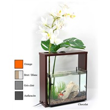 AQUARIUM ELITE KADRA