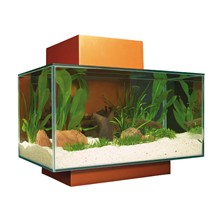 AQUARIUM FLUVAL EDGE