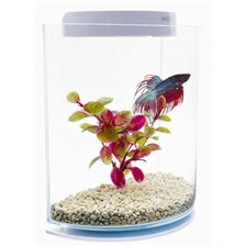 AQUARIUM MARINA BETTA KIT HALFMOON