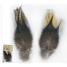 ASSORTIMENT PLUMES GUY PLAS KIT PARDO