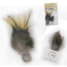 ASSORTIMENT PLUMES GUY PLAS KIT SEDGES