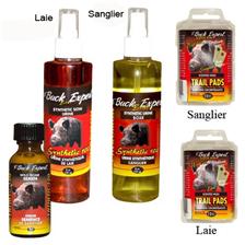 ATTRACTANT SANGLIER BUCK EXPERT URINE SYNTHETIQUE