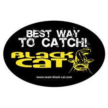 AUTOCOLLANT BLACK CAT OVAL