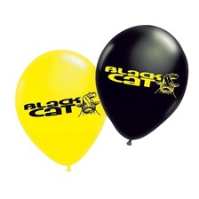 BALLONS DE BAUDRUCHE BLACK CAT - PACK DE 10