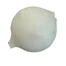 BILLES POLYSTYRENE PAFEX