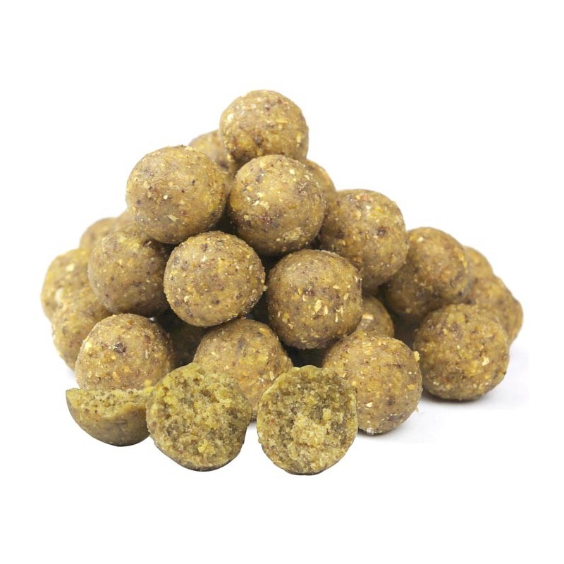 BOUILLETTE ARTISANALE NATURA CARP ABSOLUTE FISHY SEED - 25kg à 200 kg Fishy Seed - image