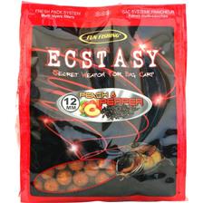 BOUILLETTES FUN FISHING ECSTASY