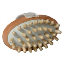 BROSSE CHIEN MASSAGE SANGLE BOIS FUTUR PET PLANET