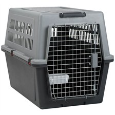 CAISSE DE TRANSPORT CHIEN SOLOGNAC