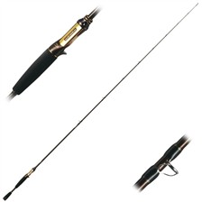 CANNE CARNASSIER DAIWA STEEZ LIGHTNING