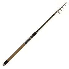 CANNE CARNASSIER TELESCOPIQUE ASTUCIT POWER PULSE