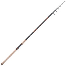 CANNE CARNASSIER TELESCOPIQUE BALZER DIABOLO VI TELE 75