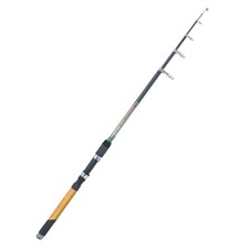 CANNE CARNASSIER / TRUITE TELESCOPIQUE QUANTUM AVS