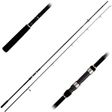 CANNE CARPE DAIWA TEAM DAIWA