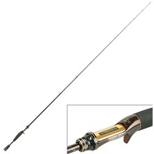 CANNE CASTING DAIWA STEEZ BLITZ