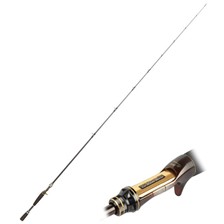 CANNE CASTING DAIWA STEEZ FLOGGER