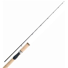 CANNE CASTING SHIMANO BEASTMASTER BX CASTING