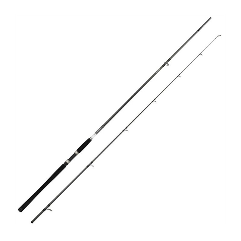 CANNE MER DAIWA CROSSCAST BULLE CRS1202H image