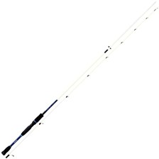 CANNE MER DAIWA INFEET 2.52M