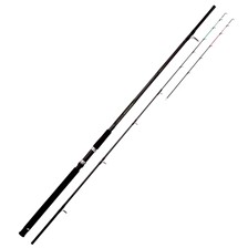 CANNE MER DAIWA JUPITER QUIVER
