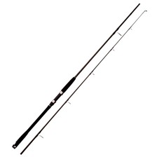 CANNE MER DAIWA MEGAFORCE BIG FISH