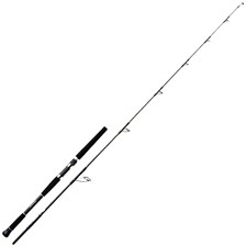CANNE MER DAIWA SALTIGA C HIRAMASA