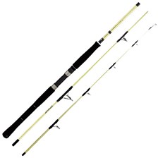 CANNE MER DAIWA SALTIST EXO
