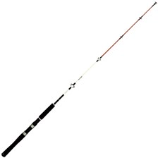 CANNE MER DAIWA SENSOR PALANGROTTE