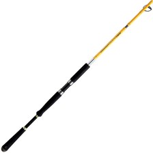 CANNE MER ILLEX ELEMENT RIDER S-250 XH