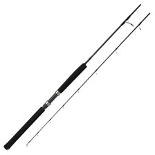 CANNE MER PENN TRQ JIG