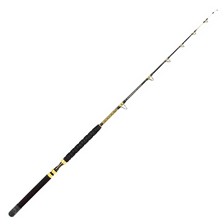 CANNE MER QUANTUM ACCURIST STANDUP