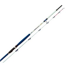 CANNE MER QUANTUM WORLD CHAMPION UPTIDE