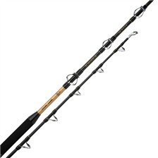 CANNE MER SHIMANO BEASTMASTER BX TROLLING
