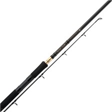 CANNE MER SHIMANO BEASTMASTER SEA BASS