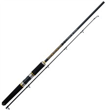 CANNE MER SHIMANO LESATH AX POWER GAME