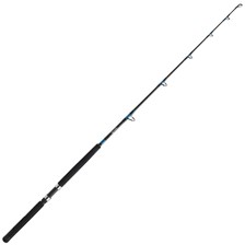 CANNE MER TRAINE ABU GARCIA ZODIUM BOAT