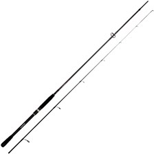 CANNE SPINNING DAIWA LUVIAS