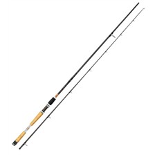 CANNE SPINNING QUANTUM KENKI SPIN