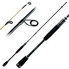 CANNE SPINNING SAKURA FURIOZZA MG LIMITED SERIES 631 UL SCION PLEIN