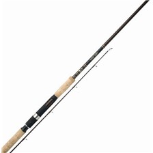 CANNE SPINNING SHIMANO BEASTMASTER BX SPINNING