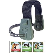 CASQUE AMPLIFICATEUR SILVER CREEK COMMANDEAR
