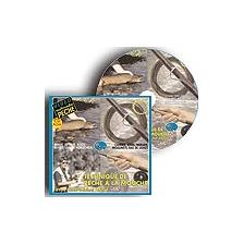 CD ROM - TECHNIQUES DE PECHE A LA MOUCHE JM AUGÉ VIDEO MULTIMEDIA PECHE