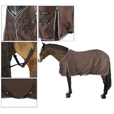 CHEMISE FOUGANZA STABLE LIGHT MARRON