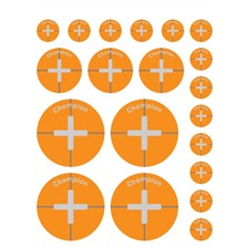 CIBLE ADHESIVE CHAMPION