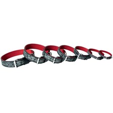 COLLIER CHIEN CUIR COLLECTION BOSTON