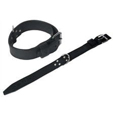 COLLIER CHIEN CUIR
